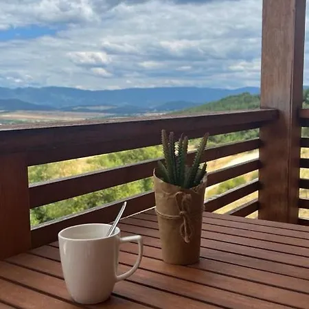 Private Maxim Apartament